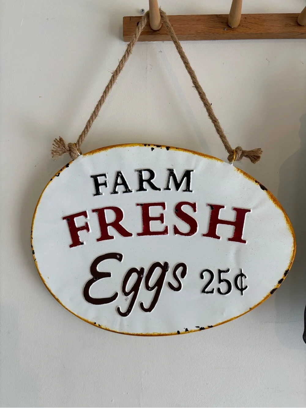 Farm Fresh Eggs 25¢ Vintage-Style Hanging Sign Metal
